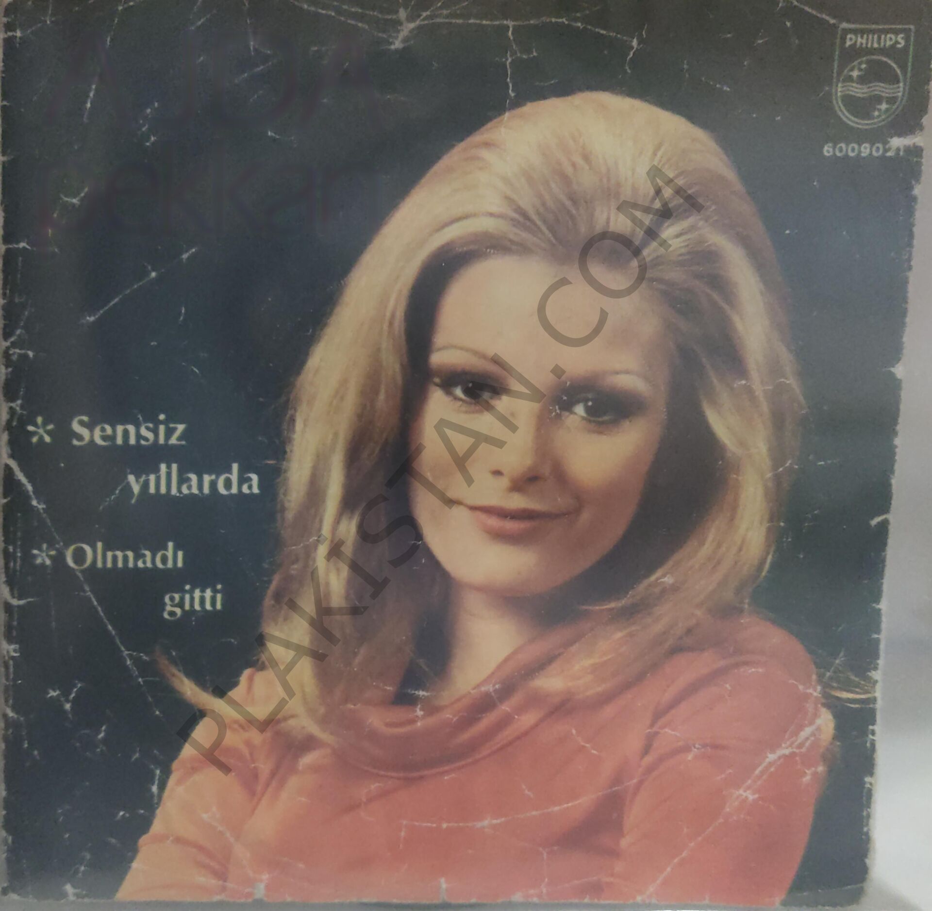 Ajda Pekkan Sensiz Yıllarda 45lik