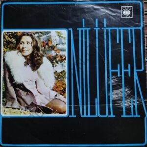 Nilüfer Kalbim Bir Pusula 45lik
