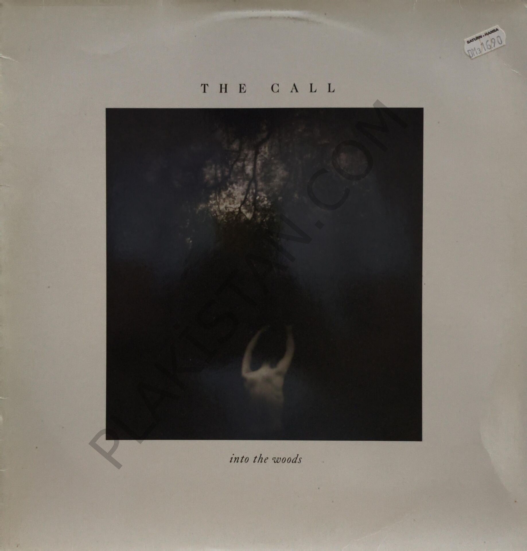 THE CALL - INTO THE WOODS LP PLAK