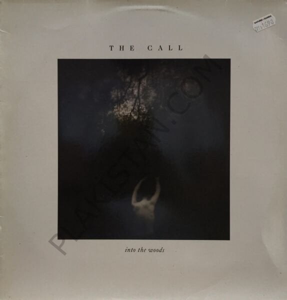 THE CALL - INTO THE WOODS LP PLAK