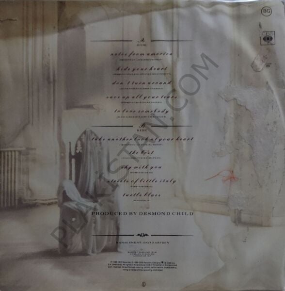 Bonnie Tyler – Hide Your Heart LP PLAK