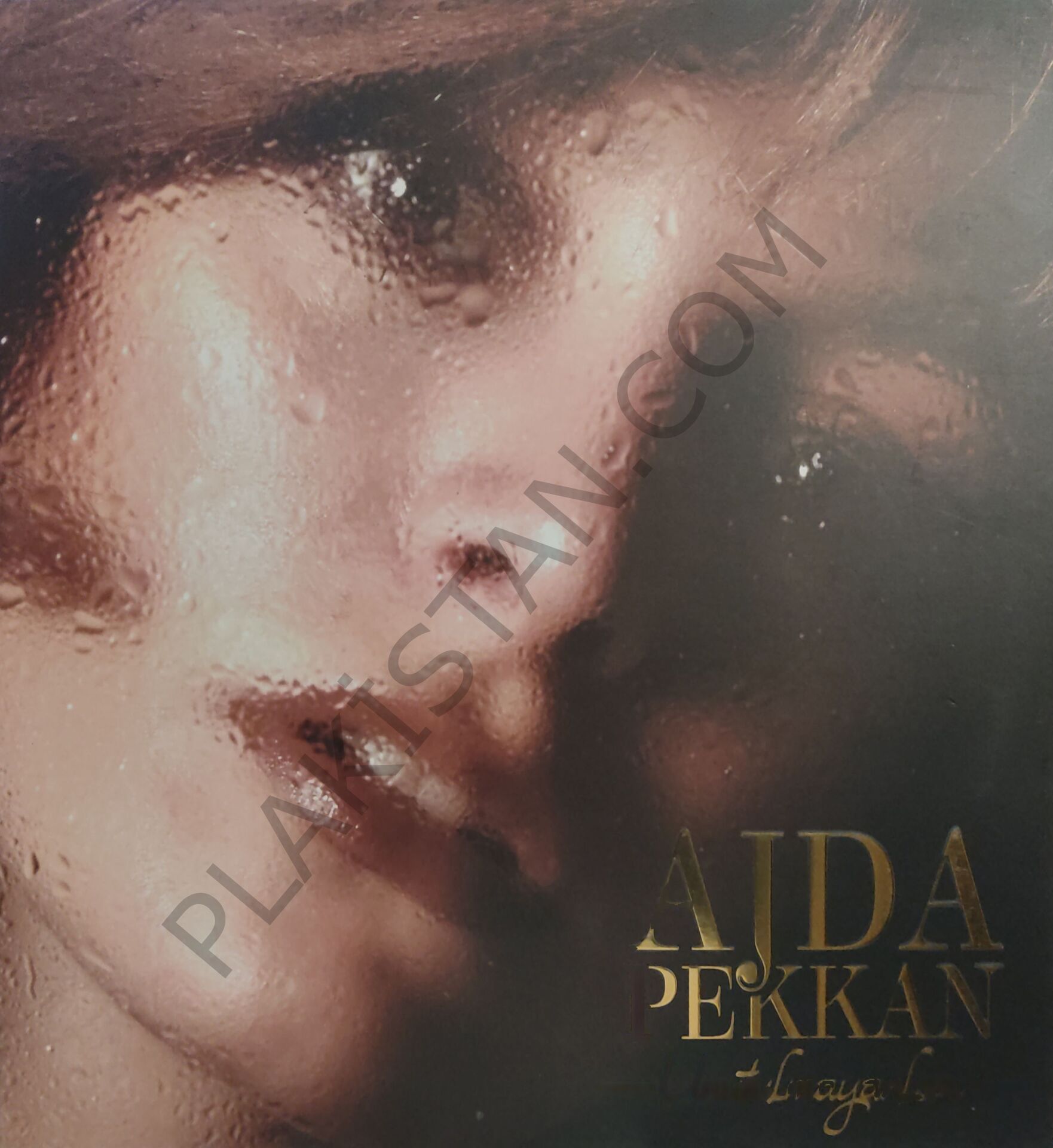Ajda Pekkan Unutulmayanlar LP