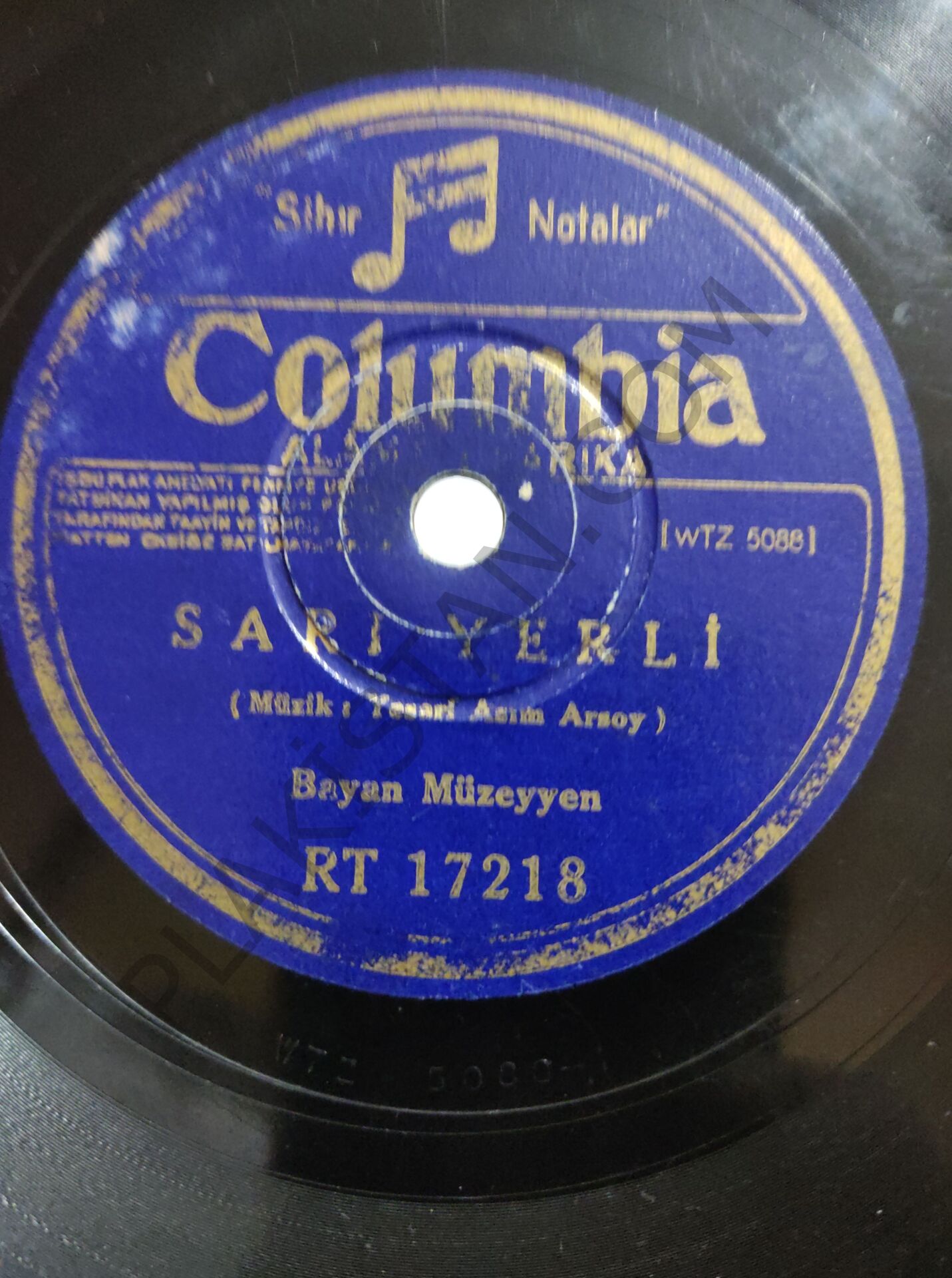Bayan Müzeyyen 78 devir taş plak