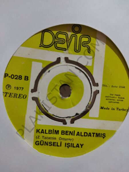 Günseli Işılay Geliverince 45lik PLAK