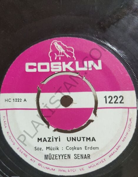 Müzeyyen Senar - Maziyi Unutma 45 LİK PLAK