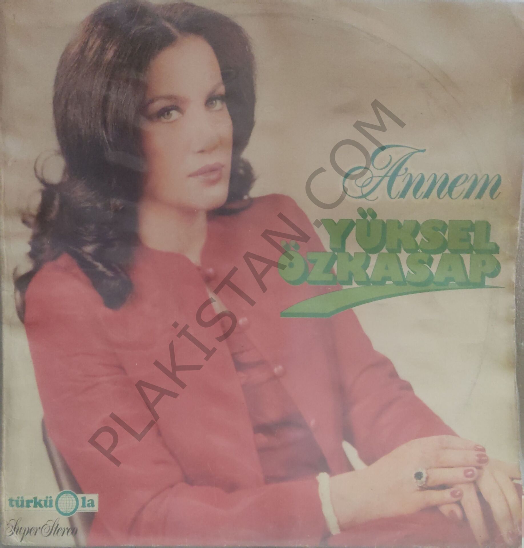 Yüksel Özkasap & Annem LP PLAK