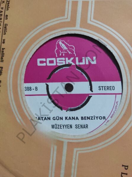 Müzeyyen Senar - Sigaramın Dumanı 45 LİK PLAK