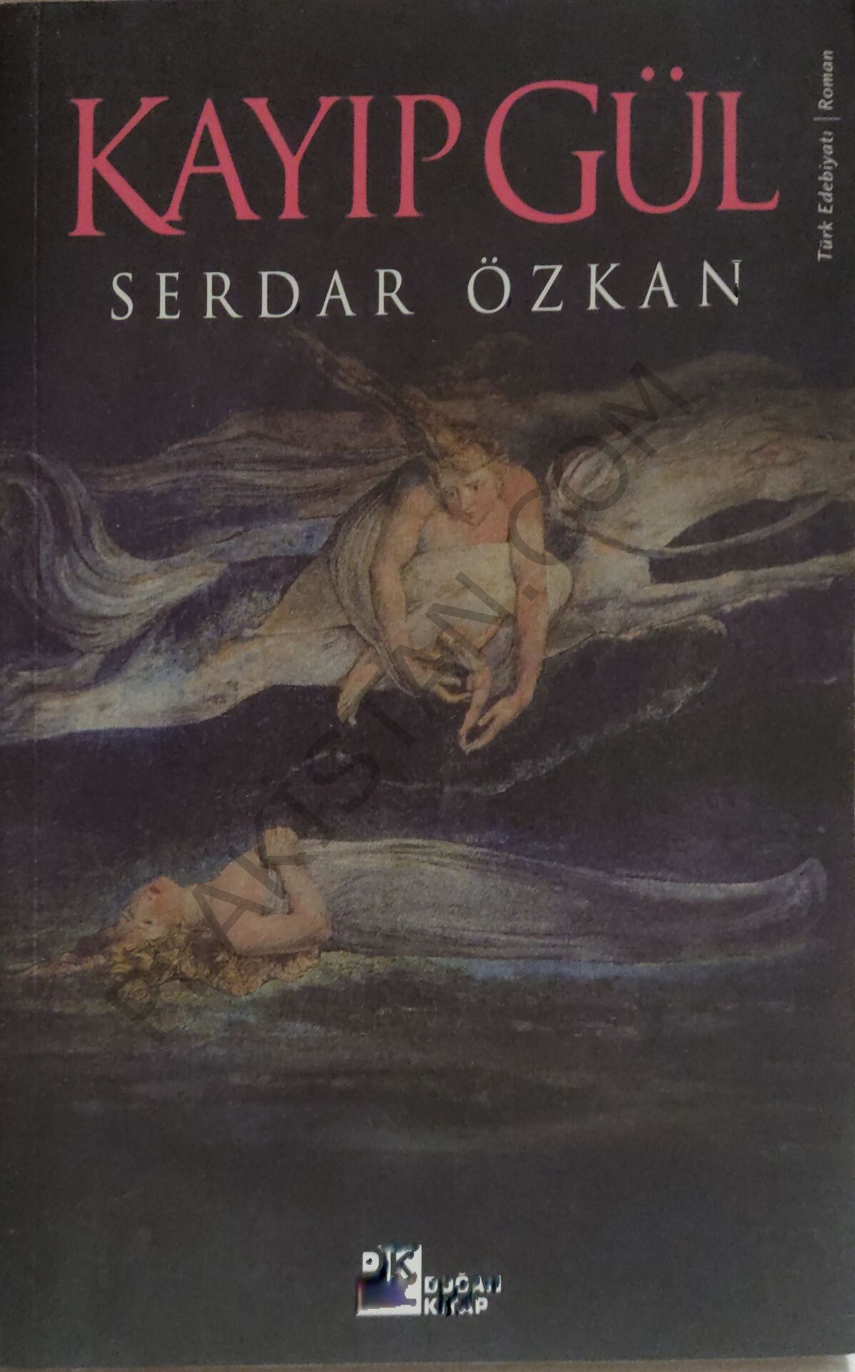 Kayıp Gül  Serdar Özkan