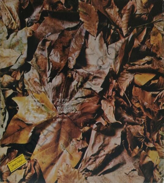 İlhan İrem - Sevgiliye LP