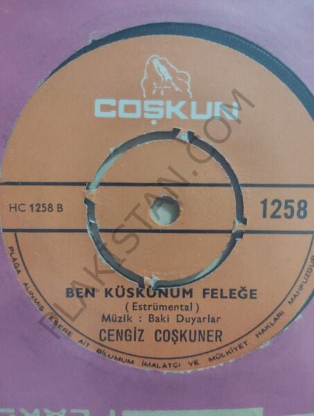 Cengiz Coşkuner seni ben  ellerin olsun diye mi sevdim 45 lik
