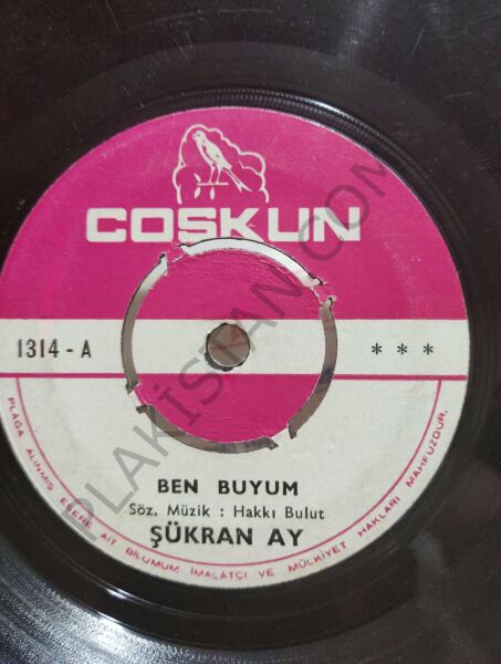 Yıldıray Çınar Ben buyum 45 lik