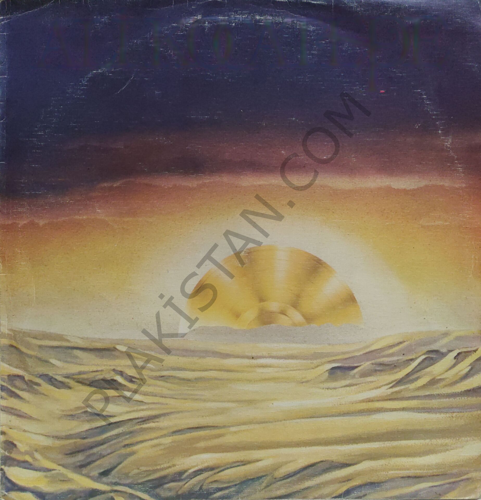 Ali Kocatepe - Geceler Sayılmaz Yaşanmadıkça LP