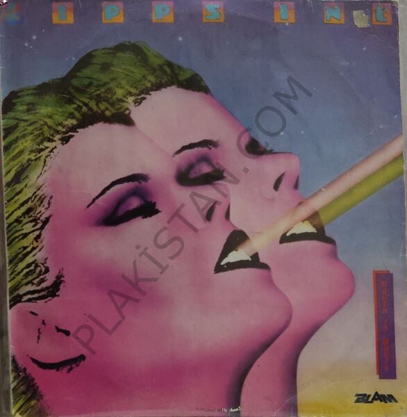 Lipps, Inc. – Funkytown LP PLAK