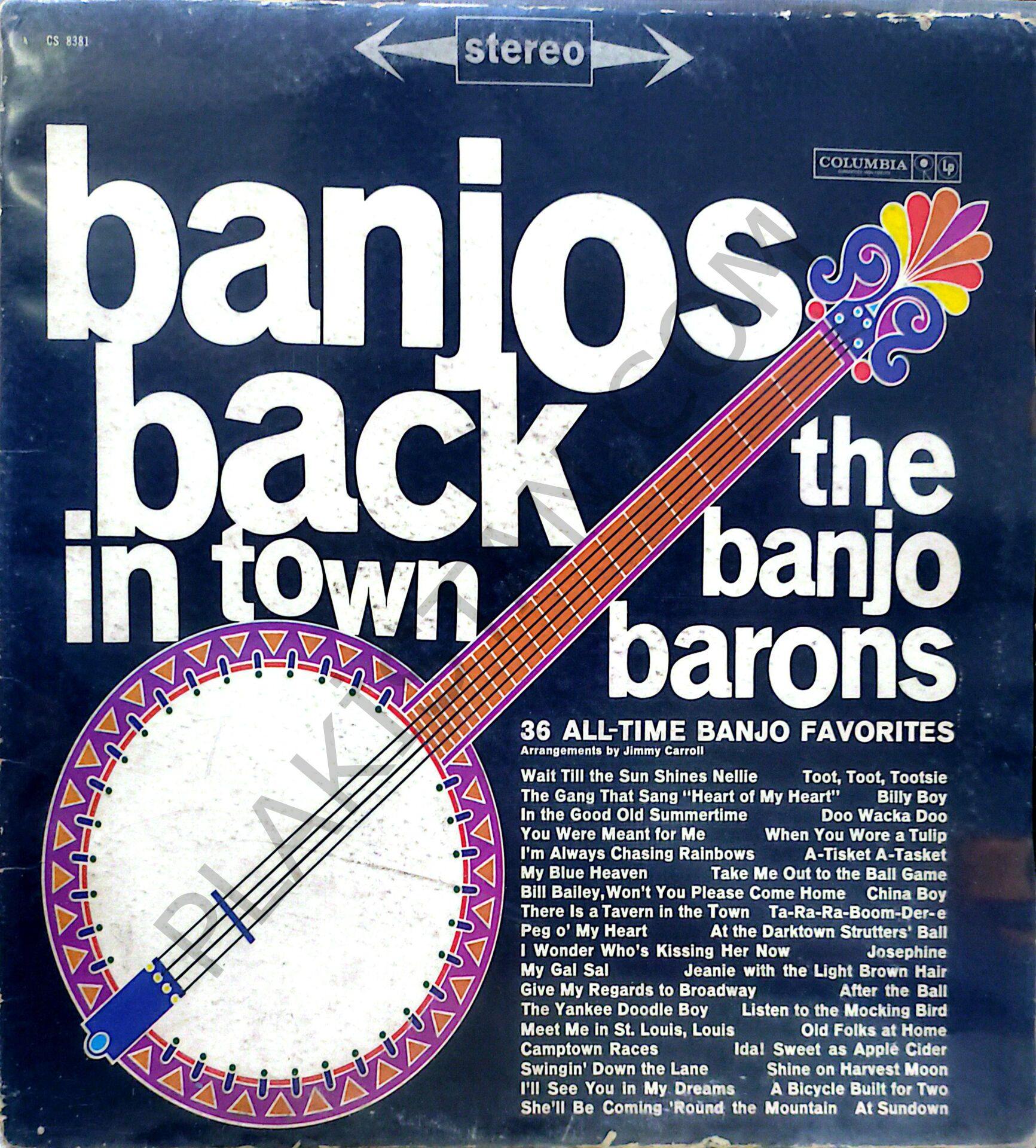 The Banjo Barons – Banjos Back In Town LP PLAK