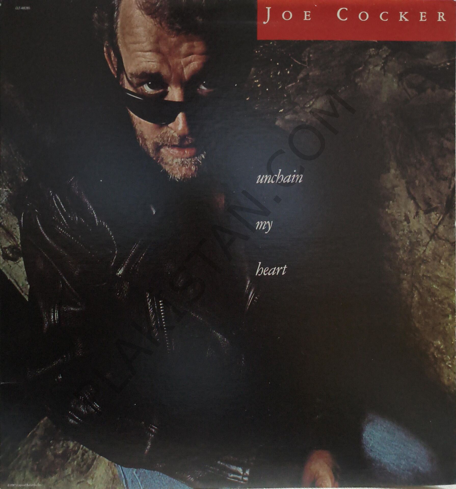 Joe Cocker Unchaın Mu Hard LP PLAK