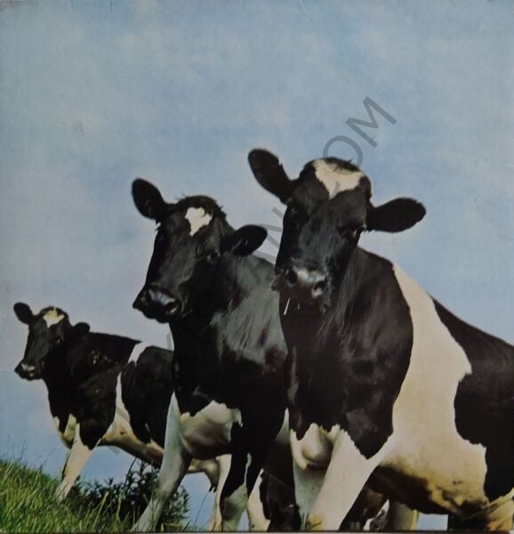 PİNK FLOYD - ATOM HEART MOTHER LP PLAK