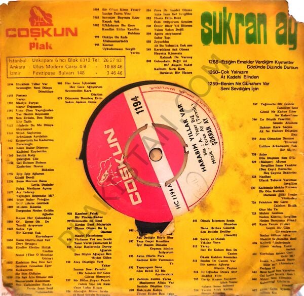 Şükran Ay - Harabım Yıllar Var 45 lik PLAK