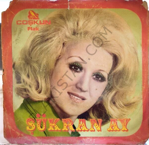 Şükran Ay - Harabım Yıllar Var 45 lik PLAK