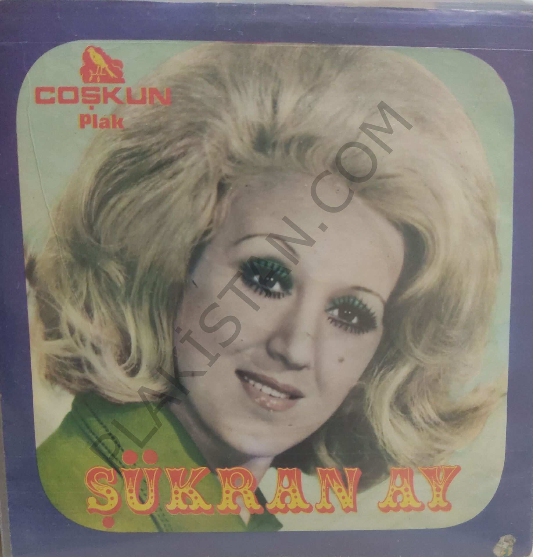 Şükran Ay Bağdat yolu 45lik