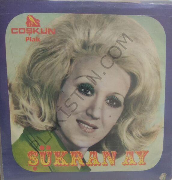 Şükran Ay Bağdat yolu 45lik