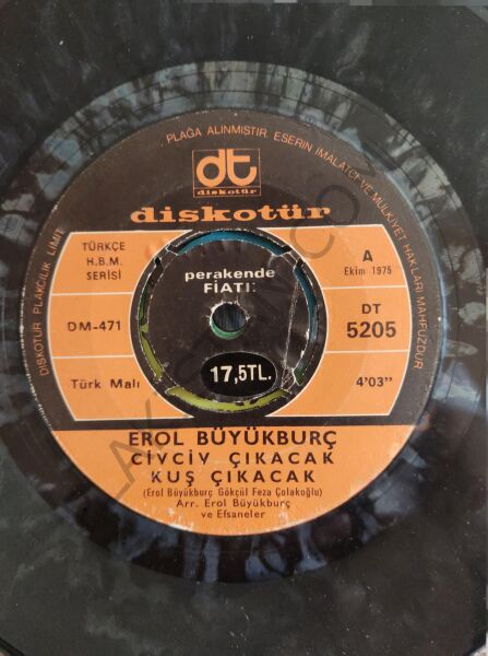 Erol Büyükburç Civciv Çıkacak Kuş Çıkacak 45lik