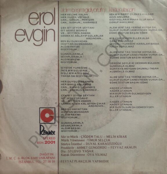 Erol Evgin Aldım Başımı Gidiyorum 45 LİK PLAK