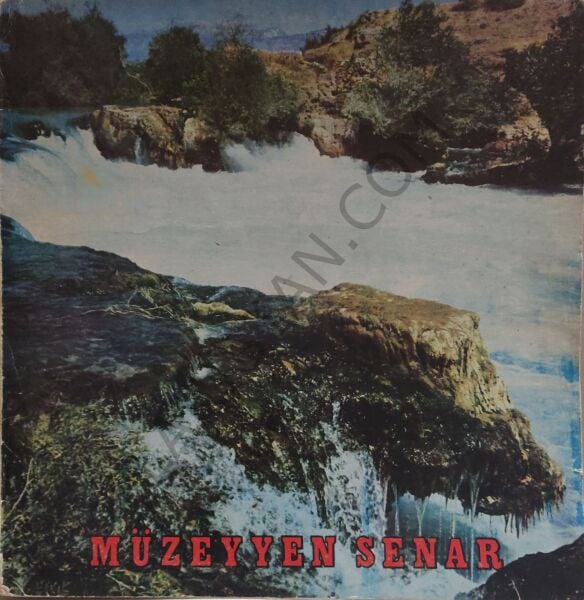 Müzeyyen Senar Coşkun plak LP