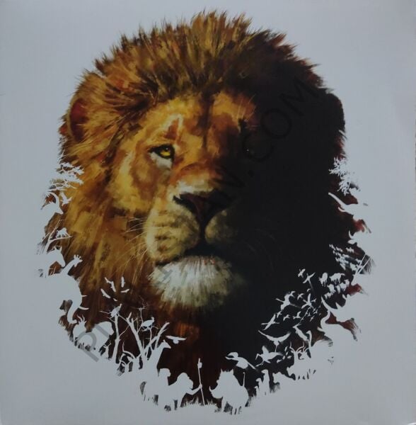 The Lion King: The Songs Film Müziği  LP PLAK