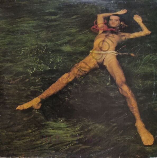 Ney Matogrosso – Mato Grosso LP PLAK