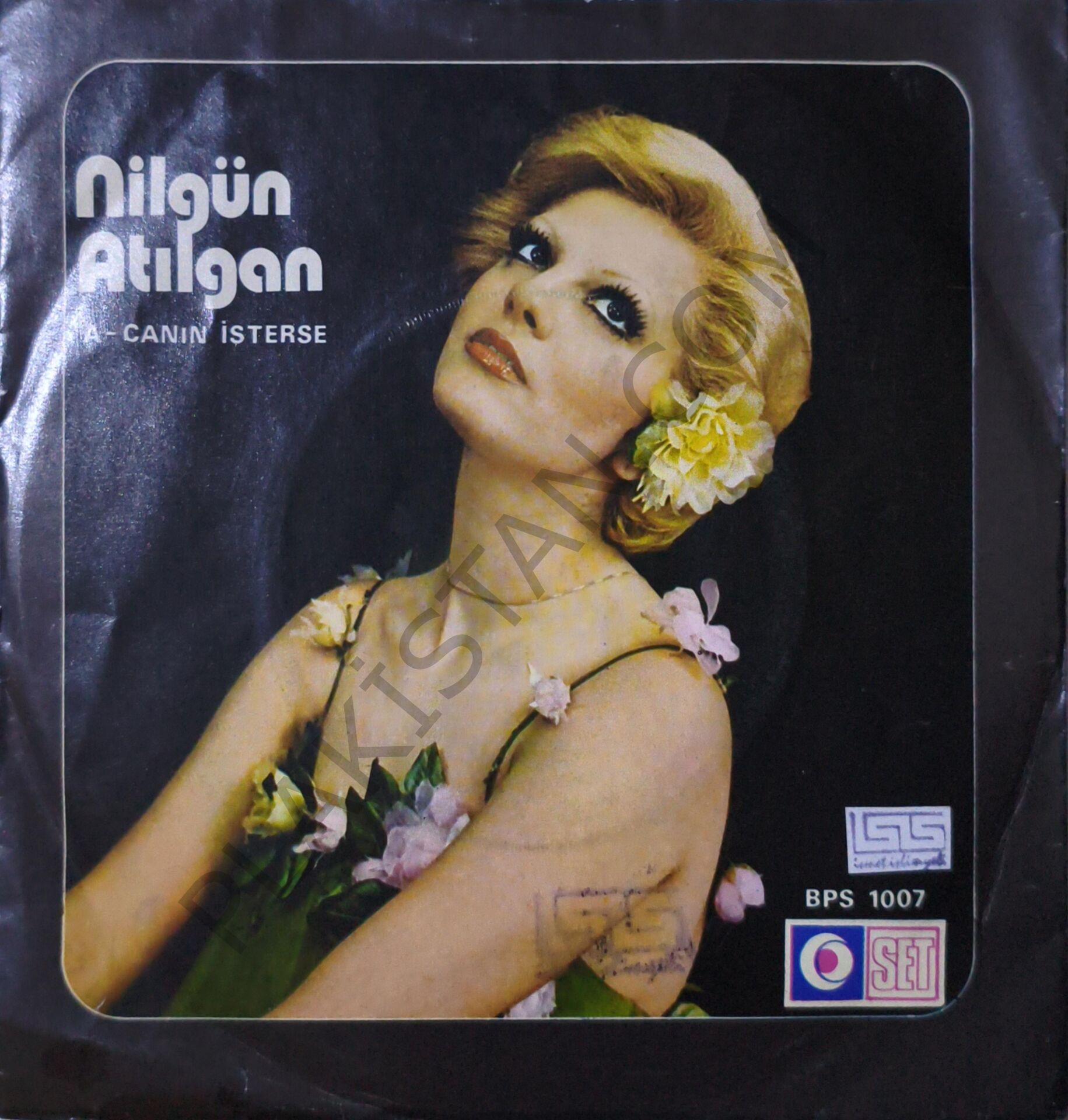 Nilgün Atılgan Canın isterse 45 LİK PLAK