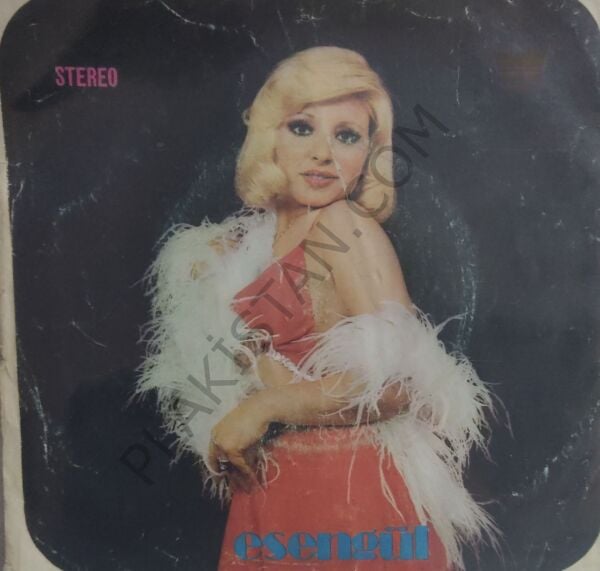 Esengül- Gün değil ay değil 45 LİK PLAK