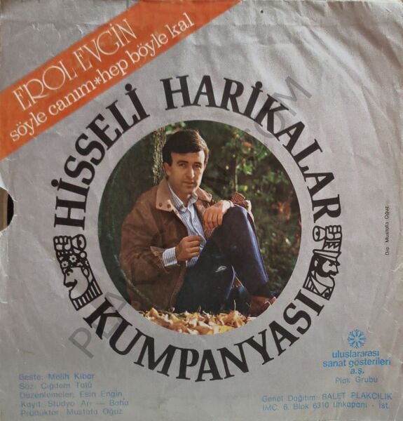 Erol Evgin Söyle Canım 45 LİK PLAK