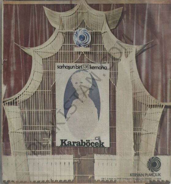 Neşe Karaböcek Sarhoşun biri 45 LİK PLAK