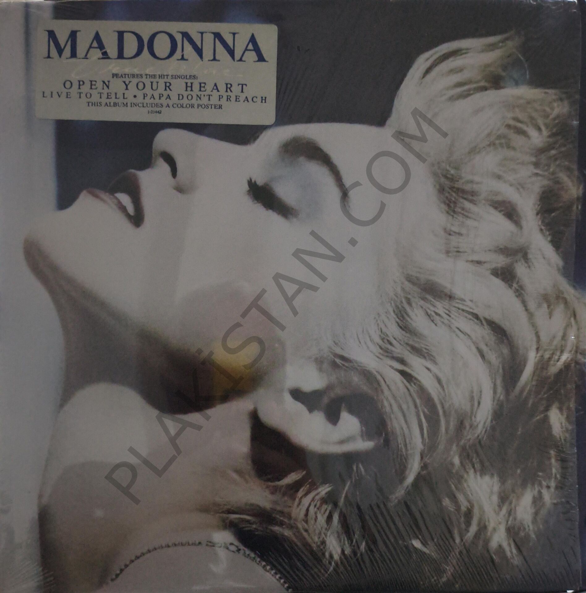 Madonna &  True Blue LP PLAK