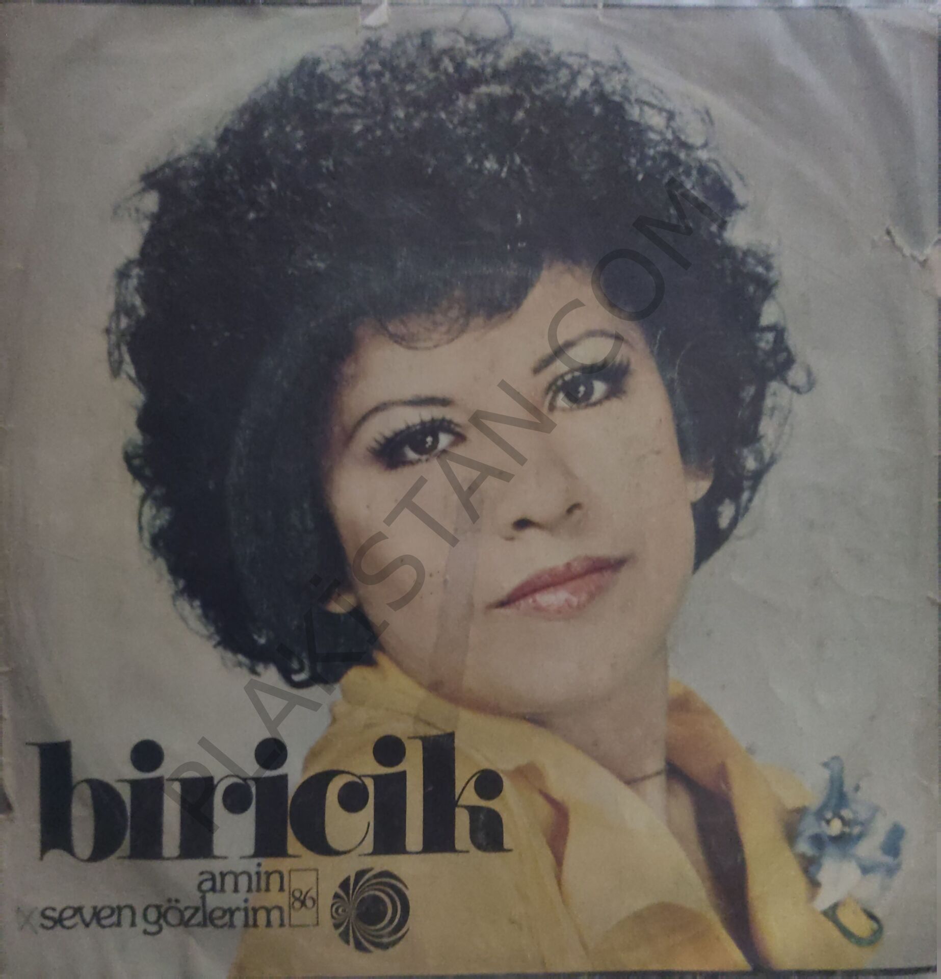 Biricik Amin  45lik PLAK