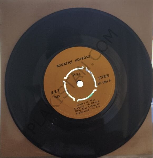 Bermuda Şeytan Üçgeni 45 LİK PLAK