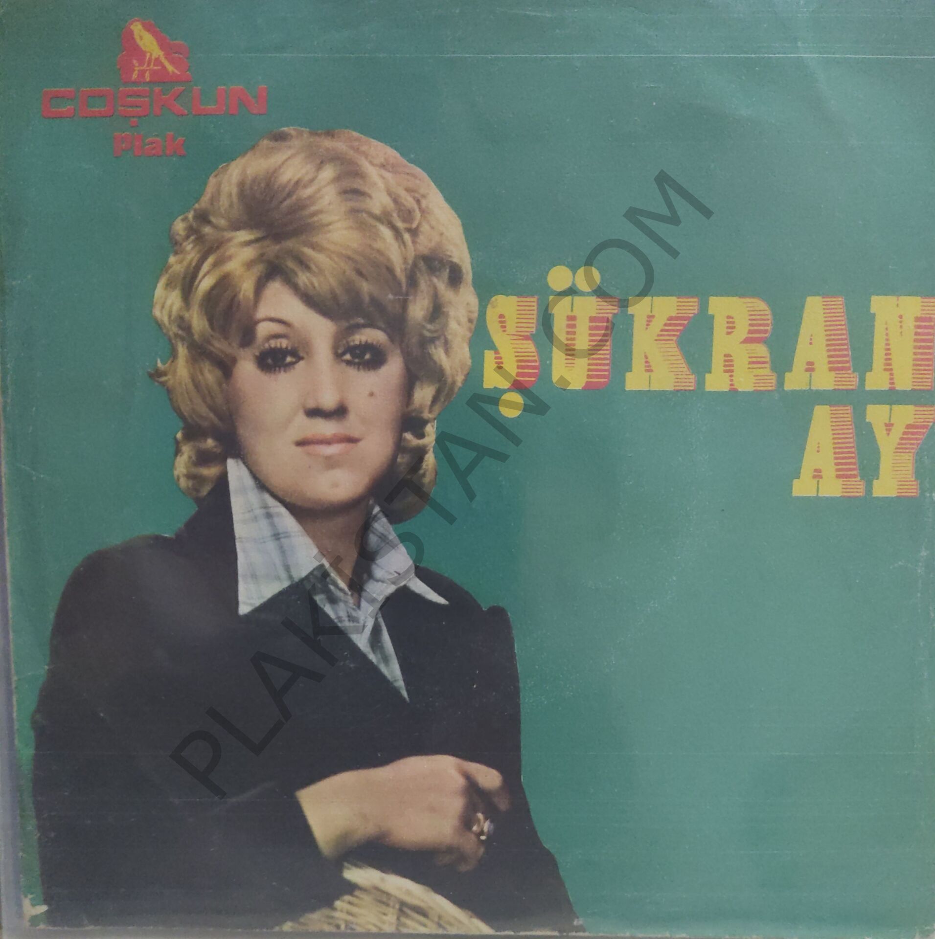 Şükran Ay Kısmet 45 lik