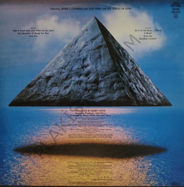 The Love Unlimited Orchestra – Rise LP PLAK