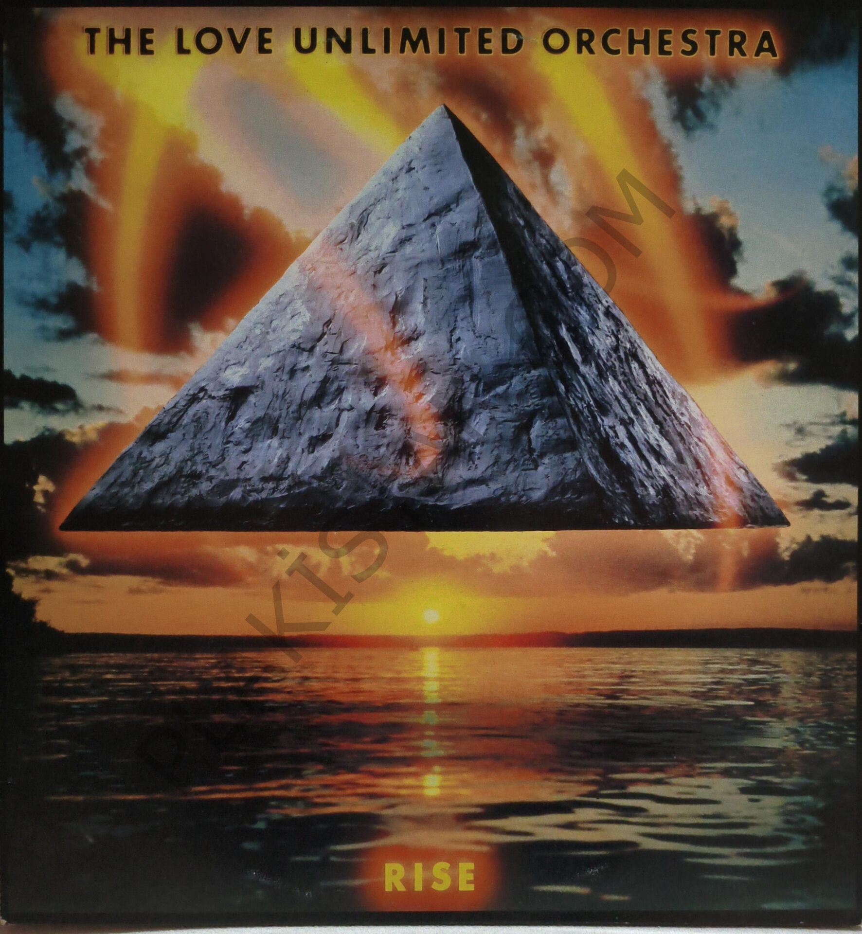 The Love Unlimited Orchestra – Rise LP PLAK