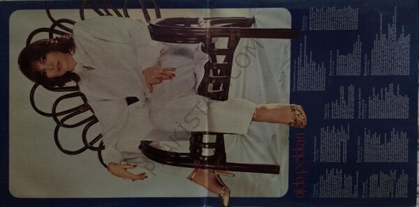 Ajda Pekkan & Süper star 2 LP PLAK