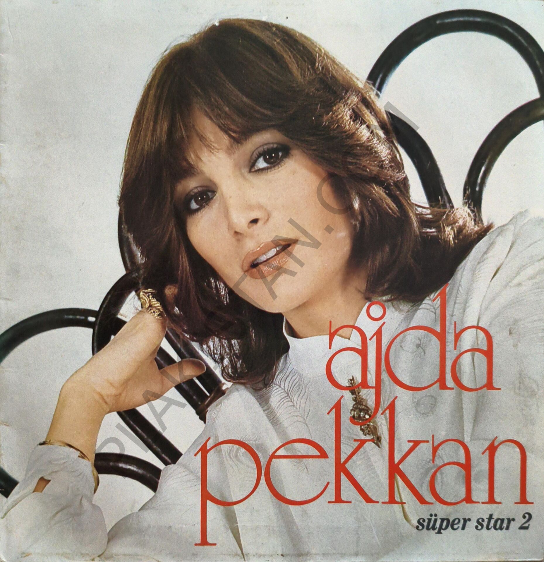 Ajda Pekkan & Süper star 2 LP PLAK