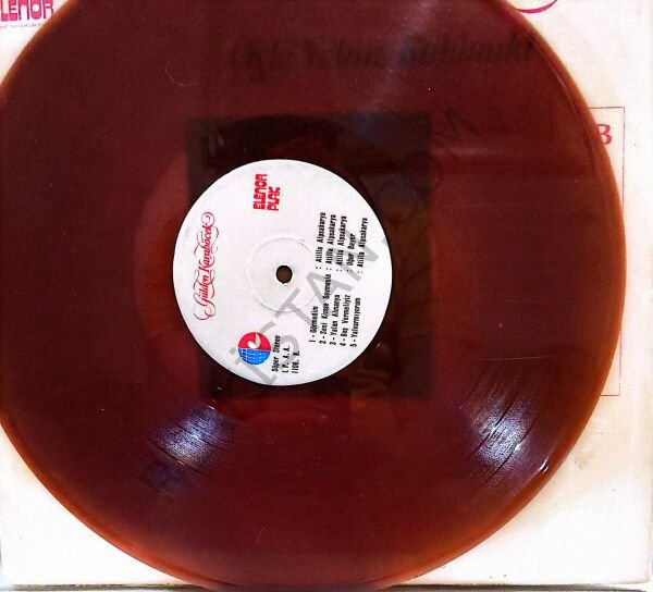 Gülden Karaböcek & Öyle yalnız kaldımki  LP PLAK