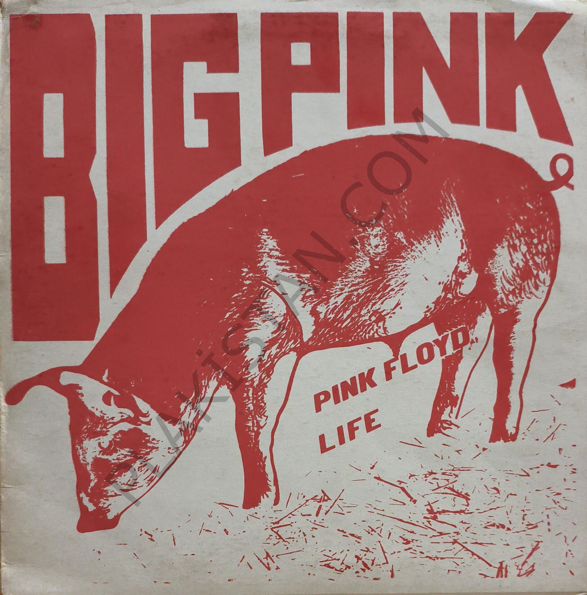 Pink Floyd – Big Pink LP PLAK