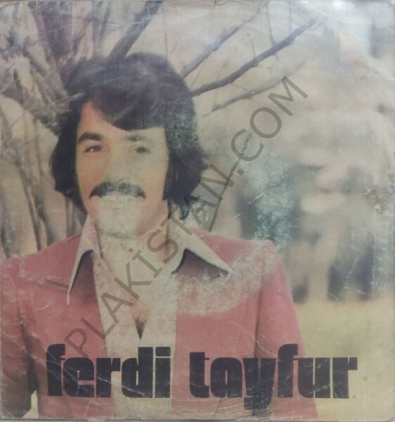 Ferdi Tayfur Merak Etme Sen 45 LİK PLAK
