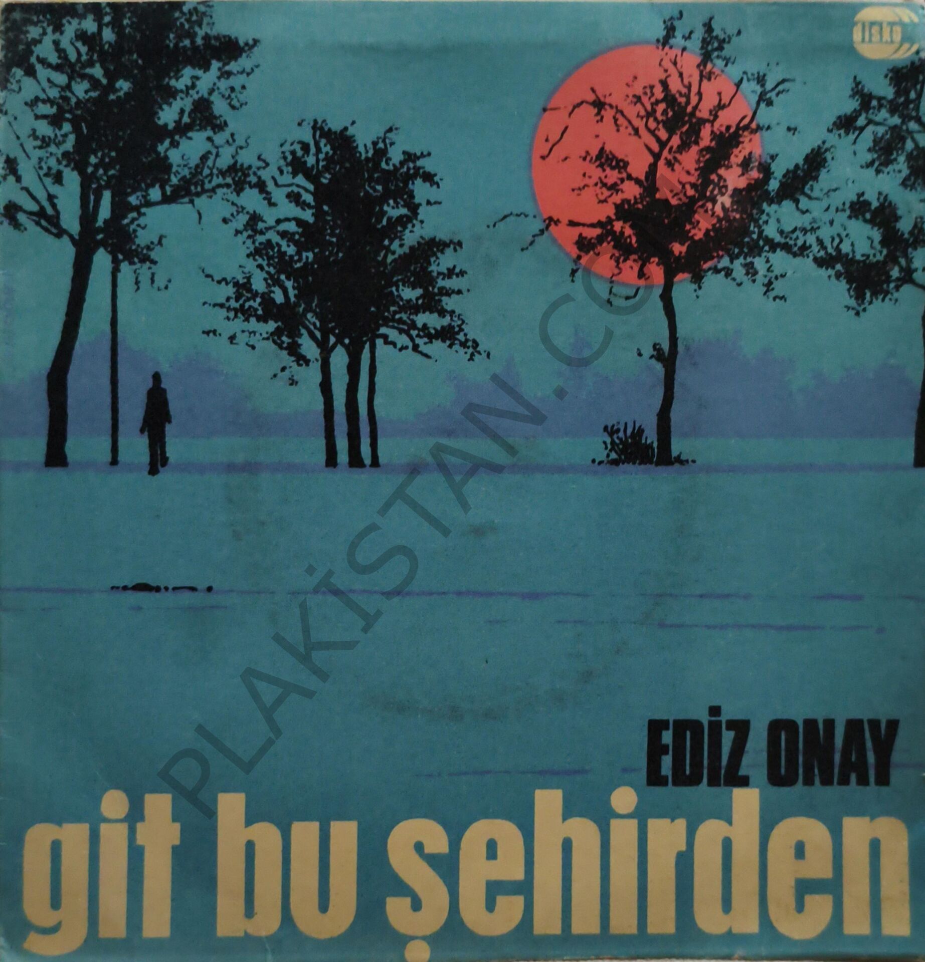 Ediz Onay & Git bu şehirden 45 LİK PLAK
