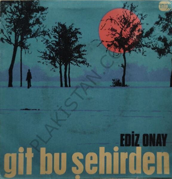 Ediz Onay & Git bu şehirden 45 LİK PLAK