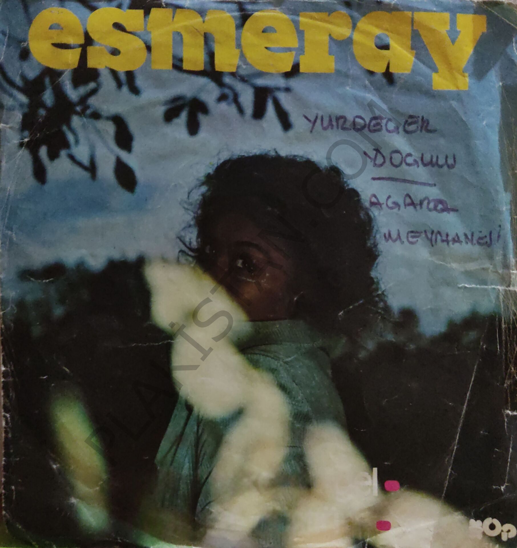 Esmeray Gel Teskere 45 LİK PLAK
