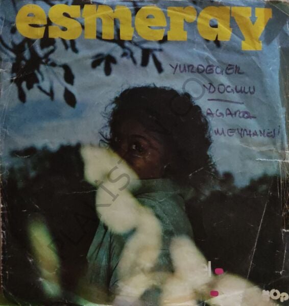 Esmeray Gel Teskere 45 LİK PLAK