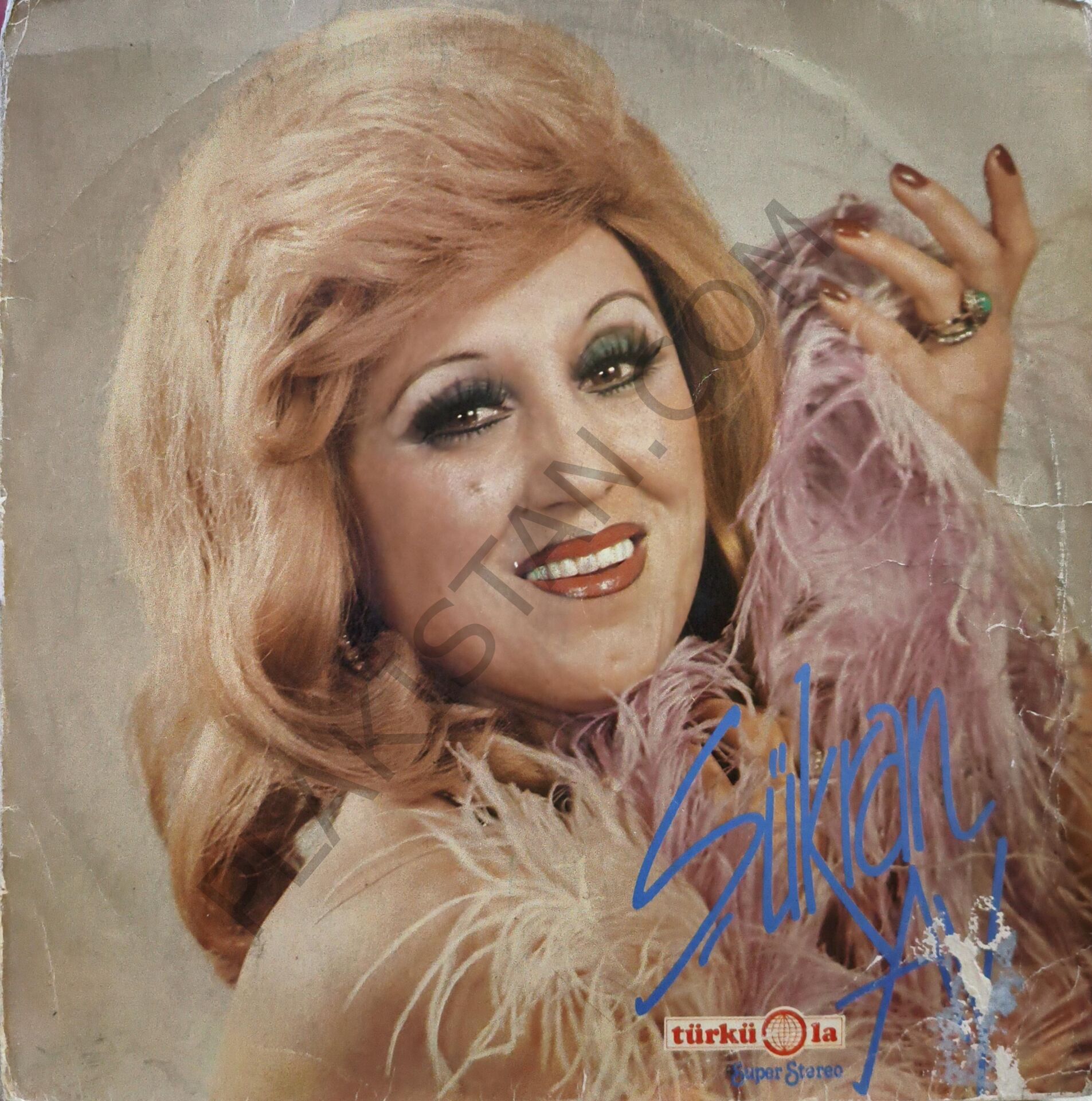 Şükran Ay & LP PLAK