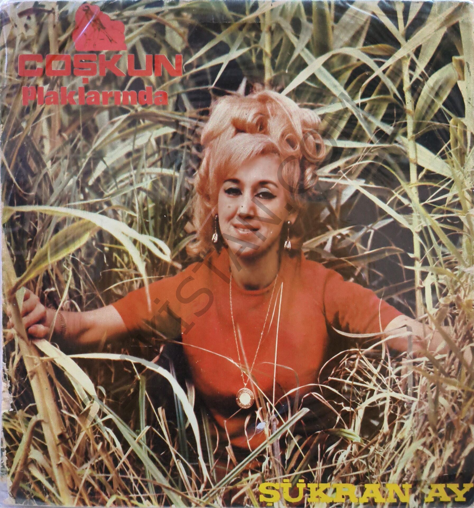 Şükran Ay & LP PLAK